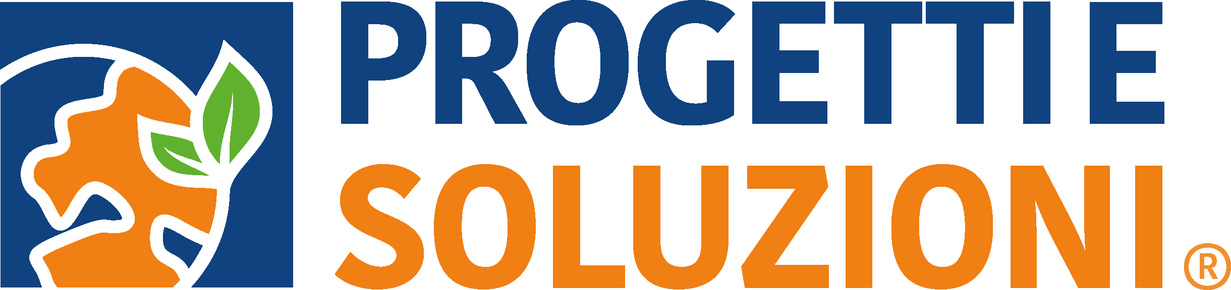 Progetti e Soluzioni